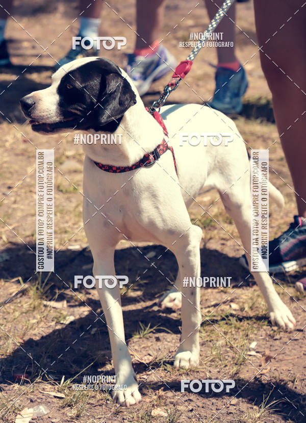 Buy your photos of the eventVai Tot Santa Maria on Fotop