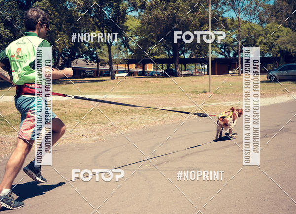 Buy your photos of the eventVai Tot Santa Maria on Fotop