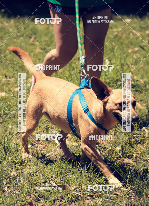 Buy your photos of the eventVai Tot Santa Maria on Fotop