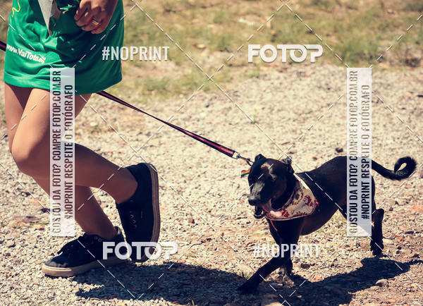 Buy your photos of the eventVai Tot Santa Maria on Fotop