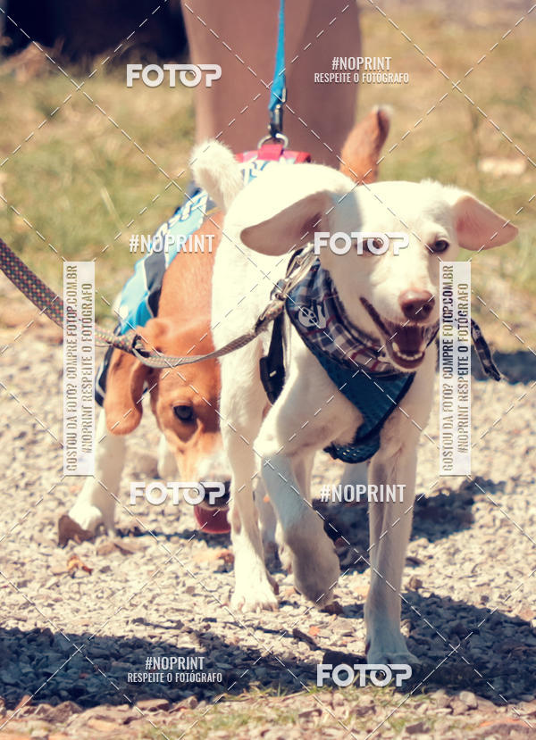Buy your photos of the eventVai Tot Santa Maria on Fotop