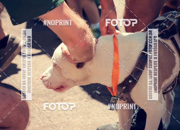 Buy your photos of the eventVai Tot Santa Maria on Fotop