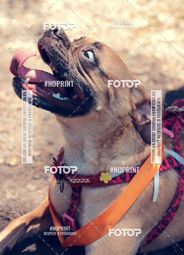 Buy your photos of the eventVai Tot Santa Maria on Fotop