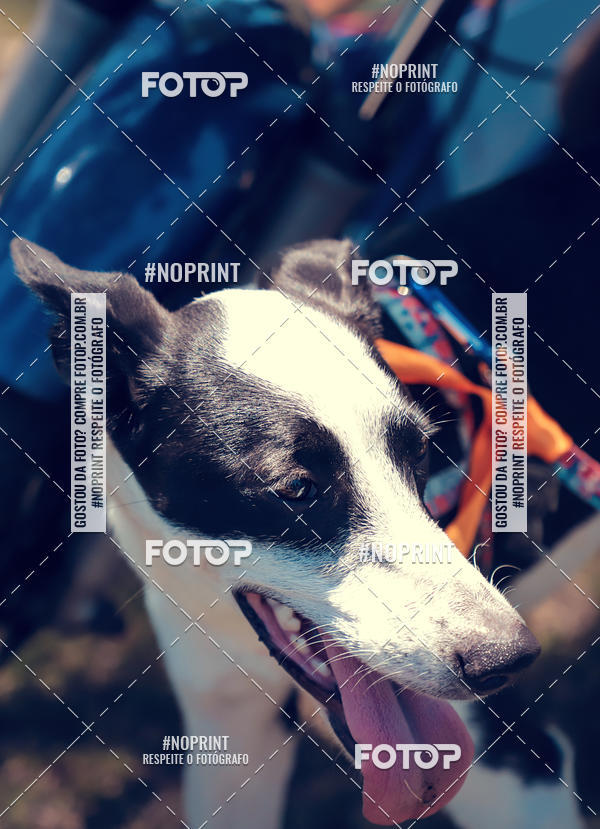 Buy your photos of the eventVai Tot Santa Maria on Fotop