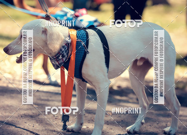 Buy your photos of the eventVai Tot Santa Maria on Fotop