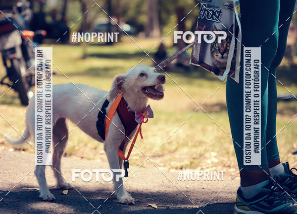 Buy your photos of the eventVai Tot Santa Maria on Fotop