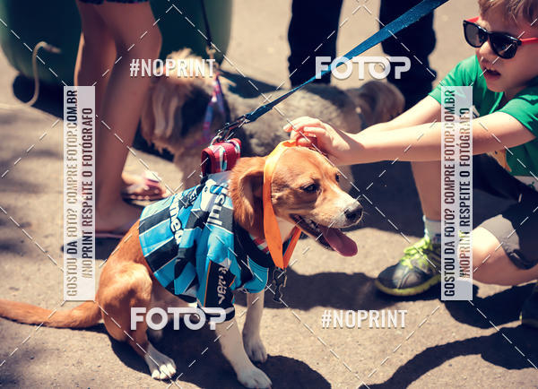 Buy your photos of the eventVai Tot Santa Maria on Fotop