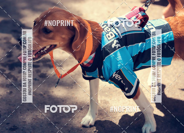 Buy your photos of the eventVai Tot Santa Maria on Fotop