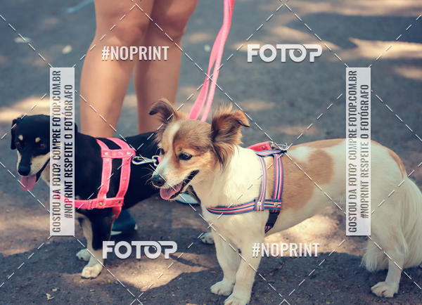 Buy your photos of the eventVai Tot Santa Maria on Fotop