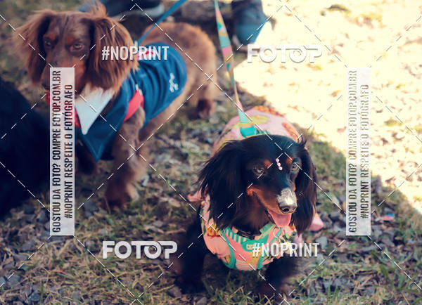 Buy your photos of the eventVai Tot Santa Maria on Fotop