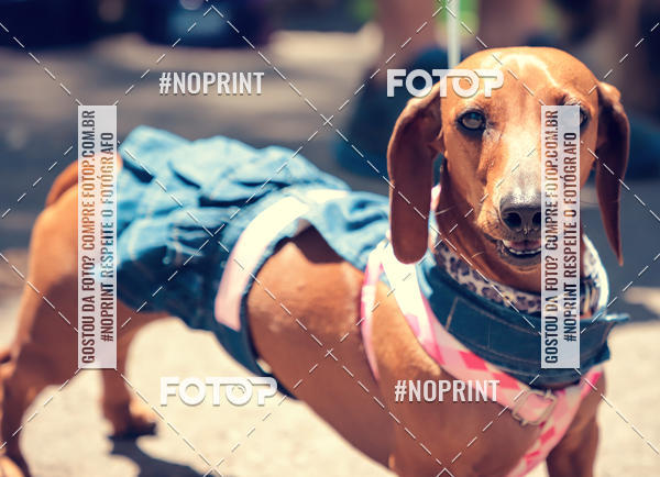 Buy your photos of the eventVai Tot Santa Maria on Fotop