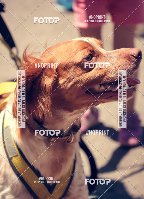 Buy your photos of the eventVai Tot Santa Maria on Fotop