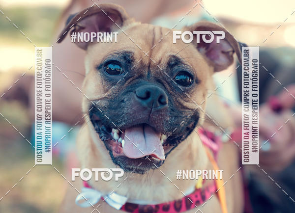 Buy your photos of the eventVai Tot Santa Maria on Fotop