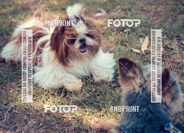 Buy your photos of the eventVai Tot Santa Maria on Fotop