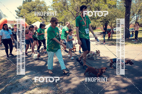 Buy your photos of the eventVai Tot Santa Maria on Fotop