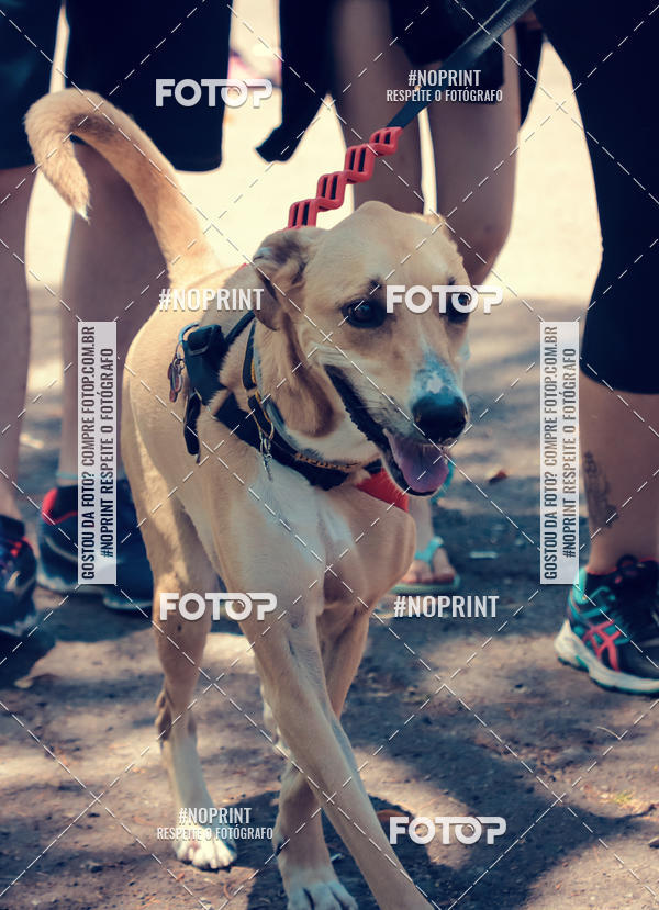 Buy your photos of the eventVai Tot Santa Maria on Fotop