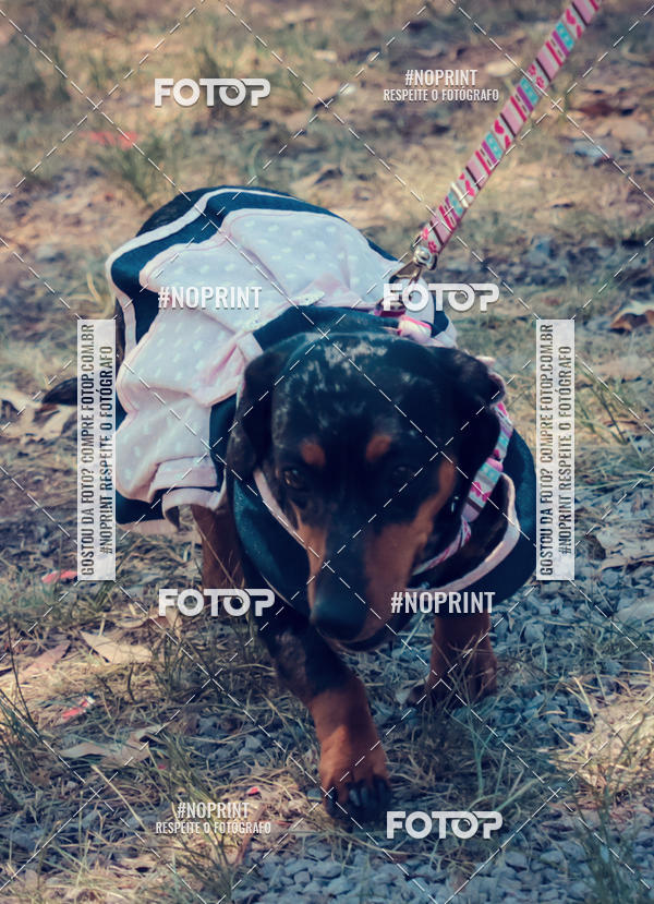 Buy your photos of the eventVai Tot Santa Maria on Fotop