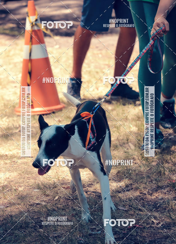 Buy your photos of the eventVai Tot Santa Maria on Fotop