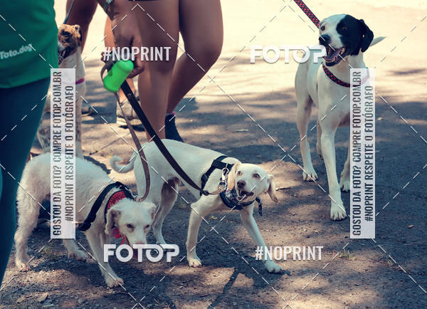 Buy your photos of the eventVai Tot Santa Maria on Fotop