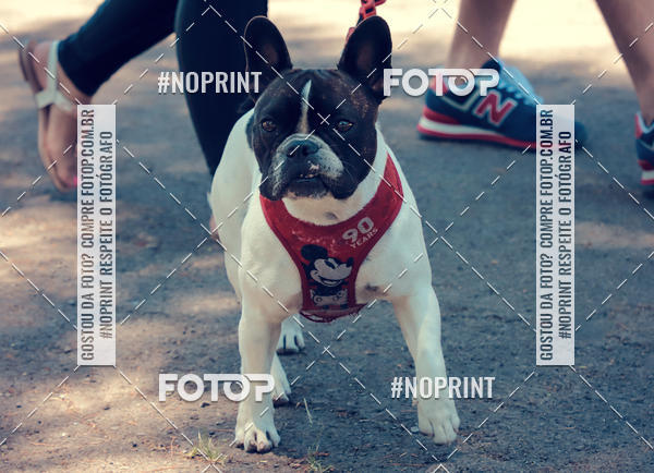 Buy your photos of the eventVai Tot Santa Maria on Fotop