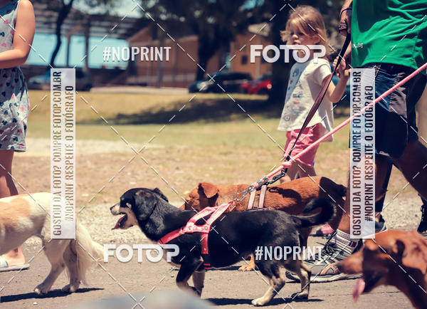 Buy your photos of the eventVai Tot Santa Maria on Fotop