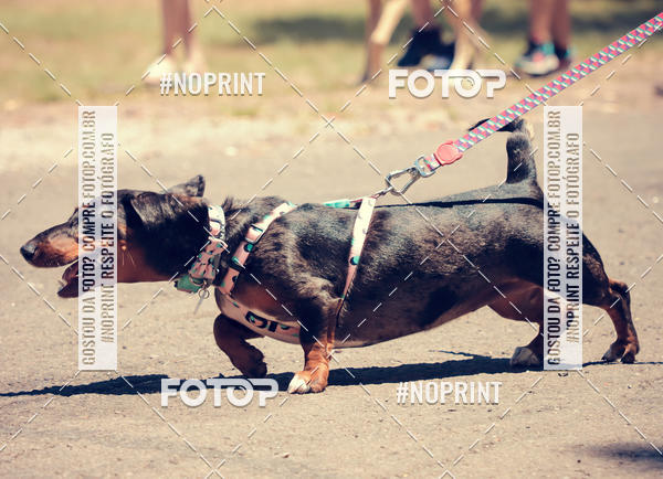 Buy your photos of the eventVai Tot Santa Maria on Fotop