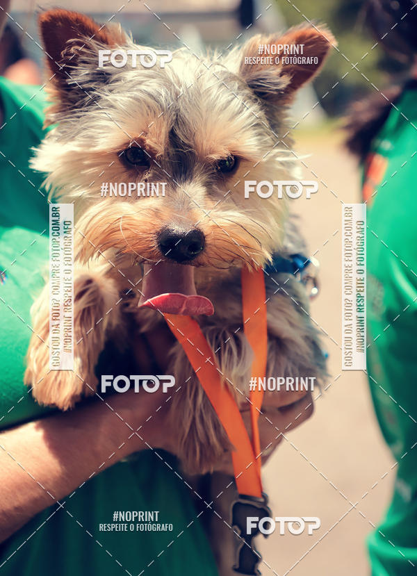 Buy your photos of the eventVai Tot Santa Maria on Fotop