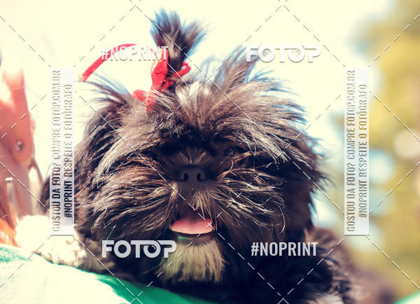 Buy your photos of the eventVai Tot Santa Maria on Fotop