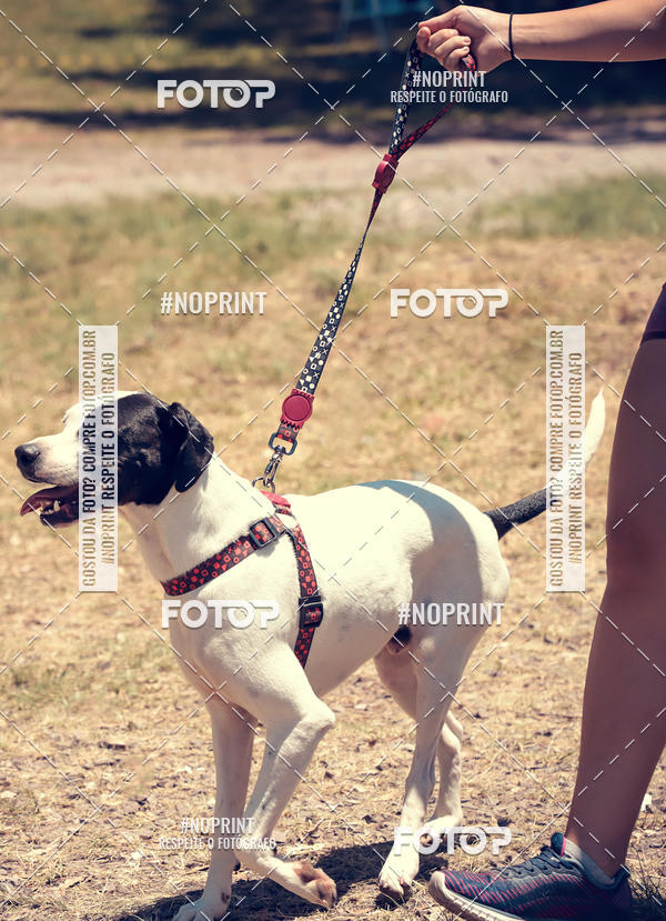 Buy your photos of the eventVai Tot Santa Maria on Fotop
