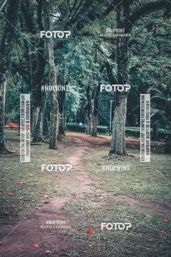 Buy your photos of the eventTreino Corre Brasil  on Fotop