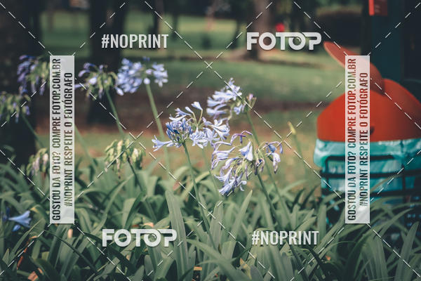 Buy your photos of the eventTreino Corre Brasil  on Fotop