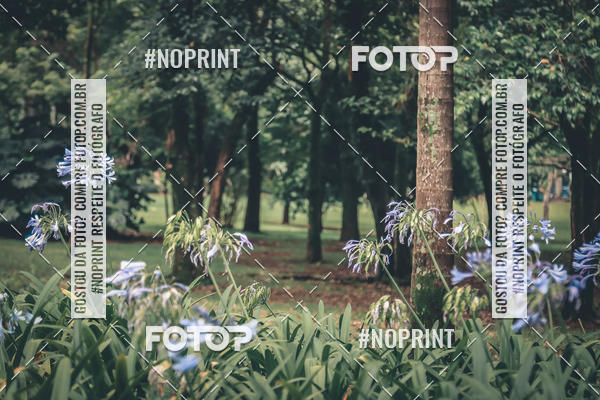 Buy your photos of the eventTreino Corre Brasil  on Fotop