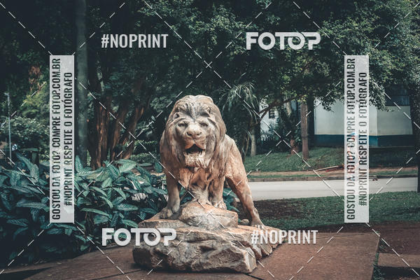 Buy your photos of the eventTreino Corre Brasil  on Fotop