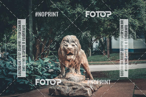 Buy your photos of the eventTreino Corre Brasil  on Fotop