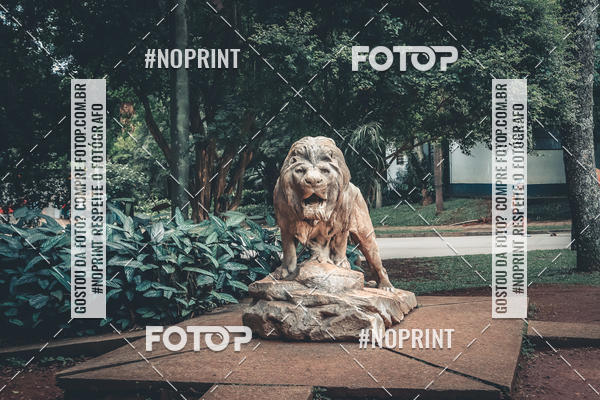 Buy your photos of the eventTreino Corre Brasil  on Fotop