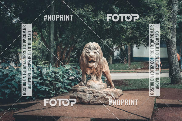 Buy your photos of the eventTreino Corre Brasil  on Fotop