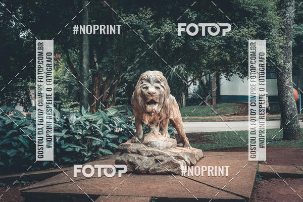 Buy your photos of the eventTreino Corre Brasil  on Fotop