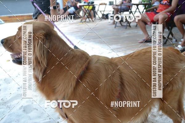 Buy your photos of the event2 torneio de futev�lei na Sun7sp 2019  on Fotop