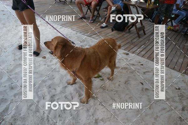 Buy your photos of the event2 torneio de futev�lei na Sun7sp 2019  on Fotop