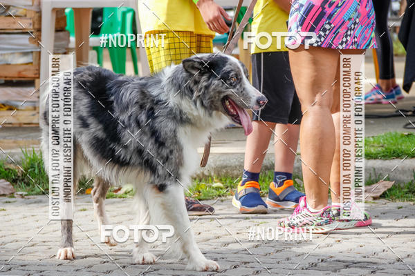Buy your photos of the event1� Trein�o Solid�rio do Levi, o Rei do Coco on Fotop