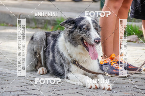 Buy your photos of the event1� Trein�o Solid�rio do Levi, o Rei do Coco on Fotop