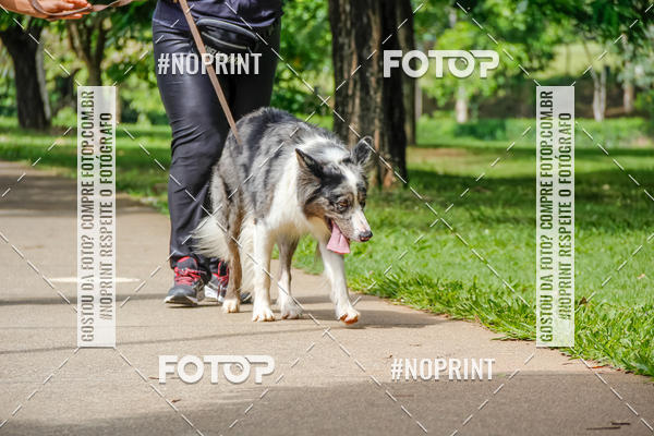 Buy your photos of the event1� Trein�o Solid�rio do Levi, o Rei do Coco on Fotop