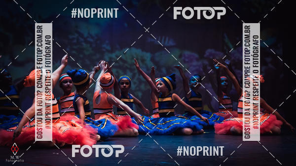 Buy your photos of the eventNo Fundo do Mar - Studio Talita Brasil on Fotop