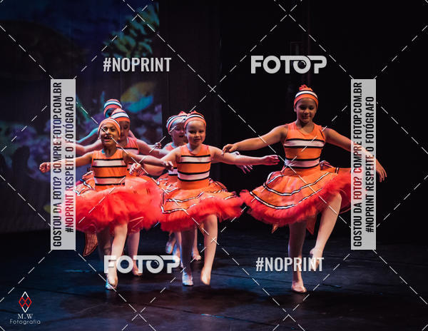 Buy your photos of the eventNo Fundo do Mar - Studio Talita Brasil on Fotop