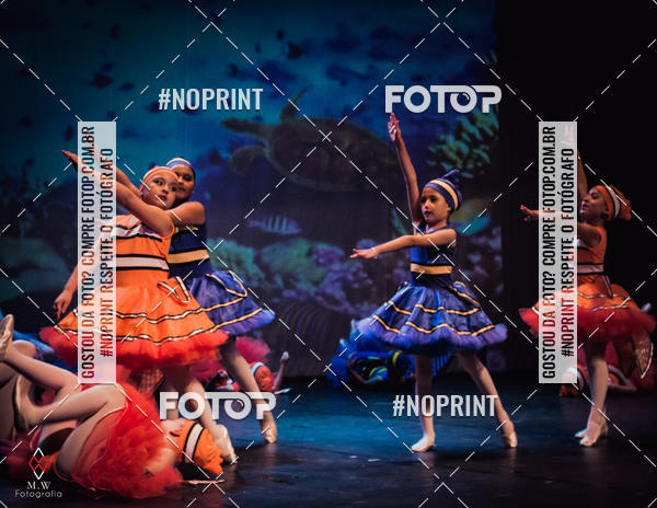 Buy your photos of the eventNo Fundo do Mar - Studio Talita Brasil on Fotop