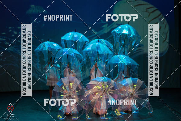 Buy your photos of the eventNo Fundo do Mar - Studio Talita Brasil on Fotop