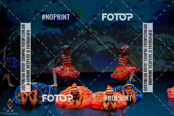 Buy your photos of the eventNo Fundo do Mar - Studio Talita Brasil on Fotop