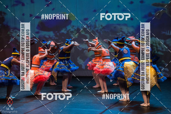 Buy your photos of the eventNo Fundo do Mar - Studio Talita Brasil on Fotop