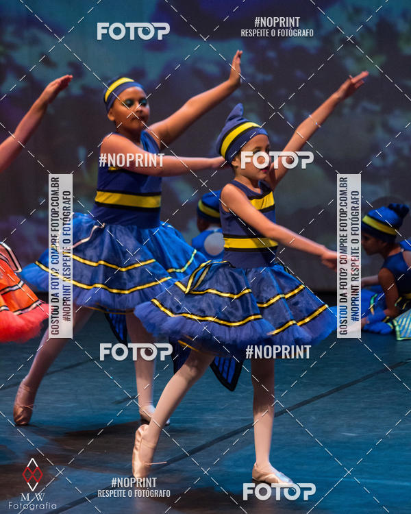 Buy your photos of the eventNo Fundo do Mar - Studio Talita Brasil on Fotop