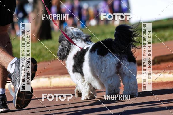 Buy your photos of the eventCorrida Contra o Feminicidio 2019 on Fotop